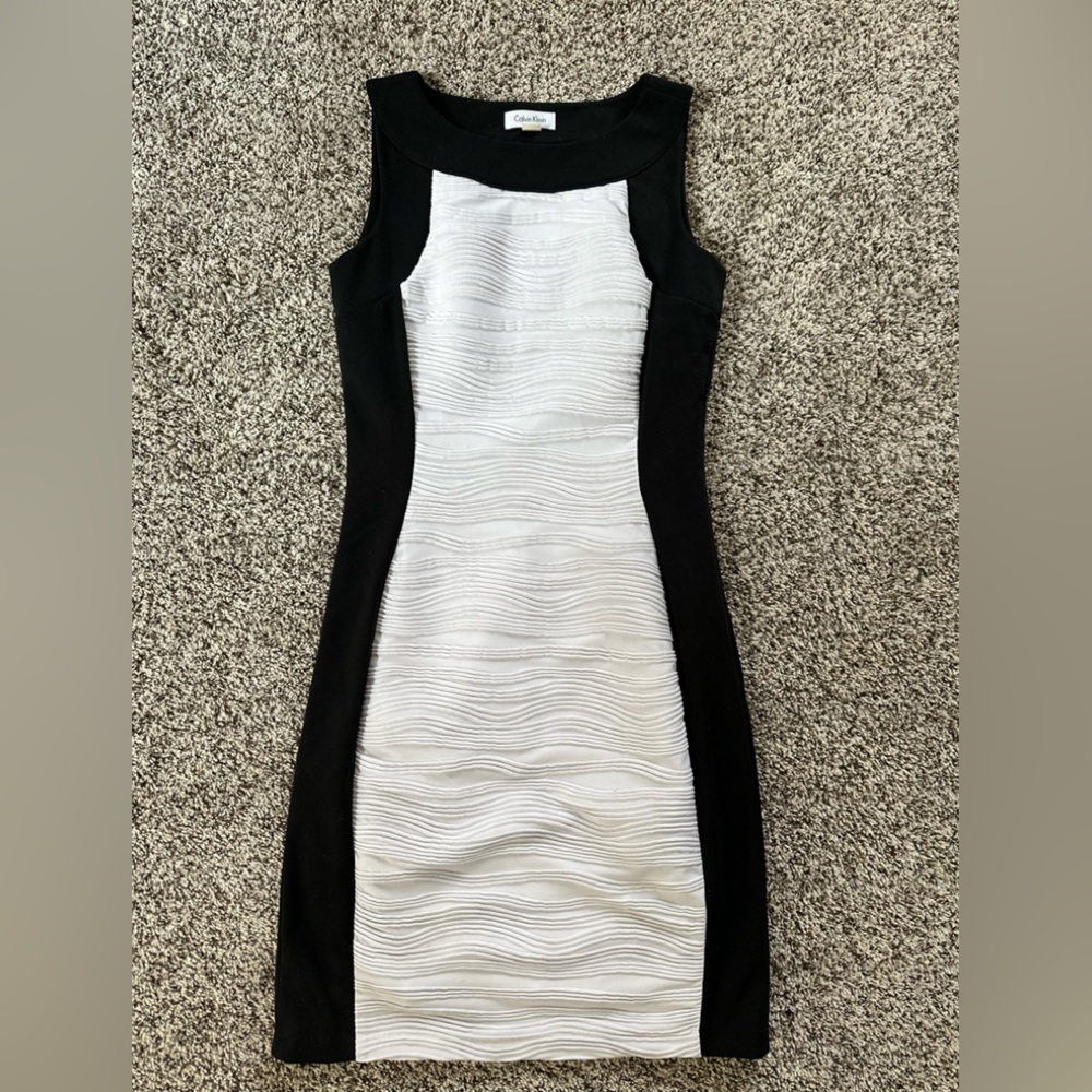 Calvin Klein. Women’s dress size 2.